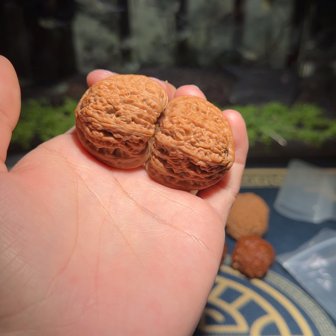 1504号40密纹狮子头文玩核桃