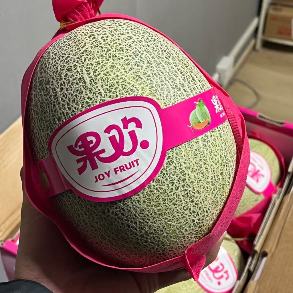 海南西州蜜25号哈密瓜2枚8斤装，皮薄肉厚，一口爽脆北京市