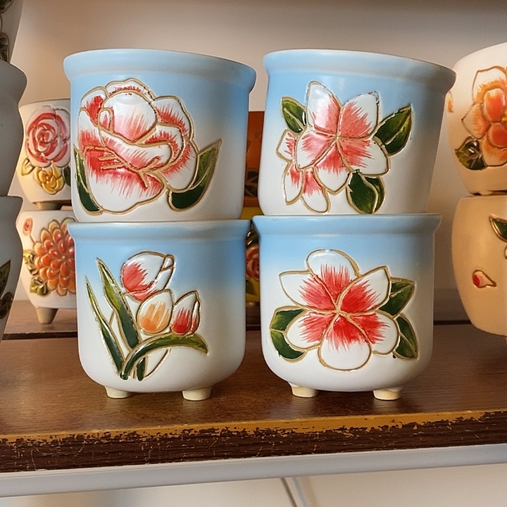 韩式多肉植物花盆