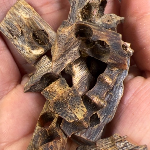 沉香沉香碎屑张勺子碎料20g