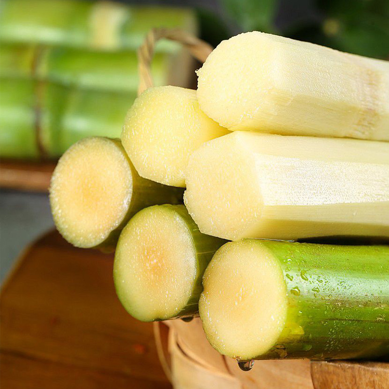 现砍现发新鲜陶山甘蔗皮薄肉脆精品一果节5斤装绿皮甘蔗京东包邮