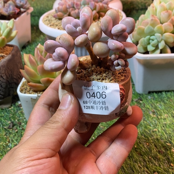 0406啊啊啊啊啊啊啊啊