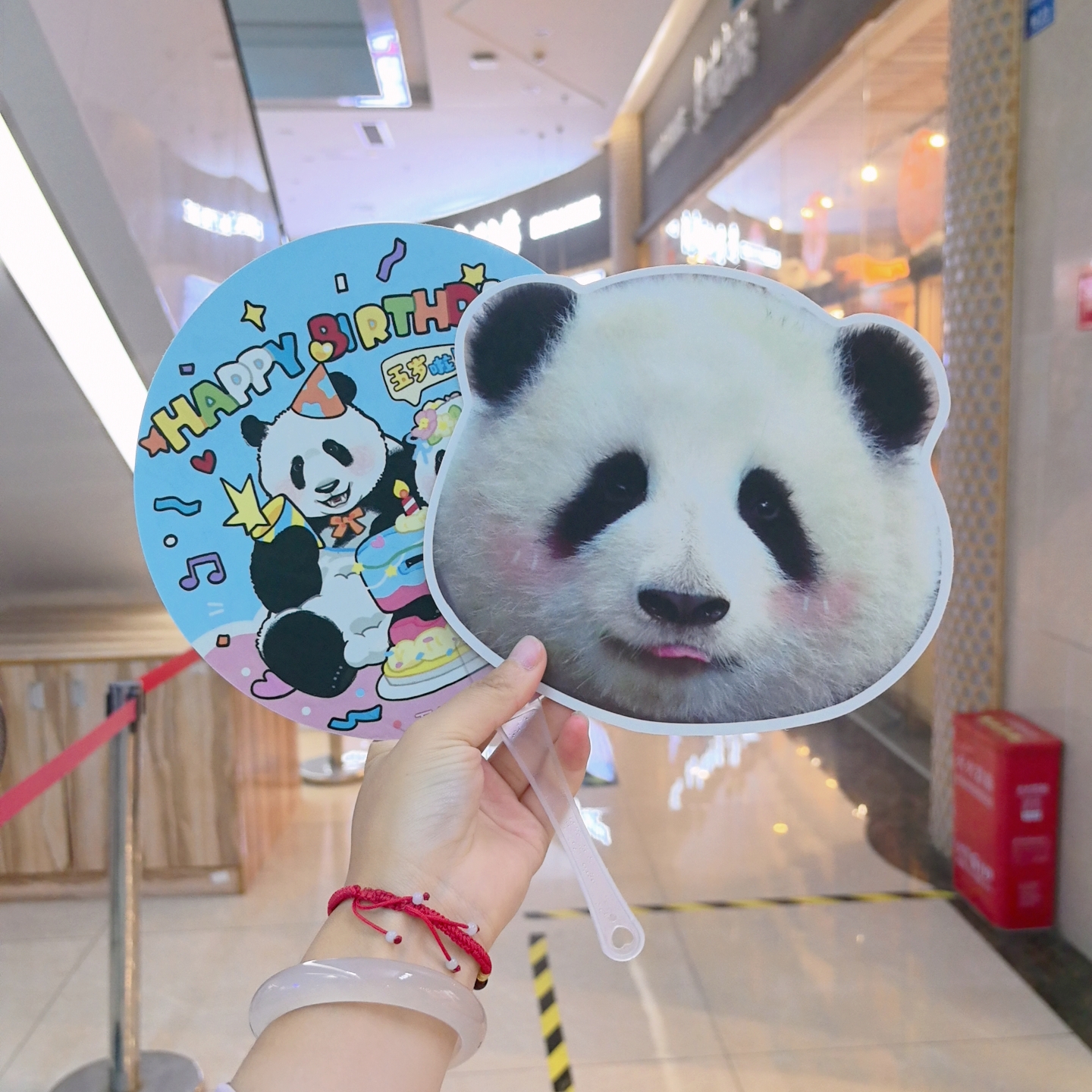 【花叶5周岁生日扇子➕打卡牌】清凉圆扇小圆扇手摇扇圆形便携长柄