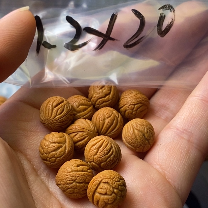 手串文玩核桃秦岭野生龙纹桃核12