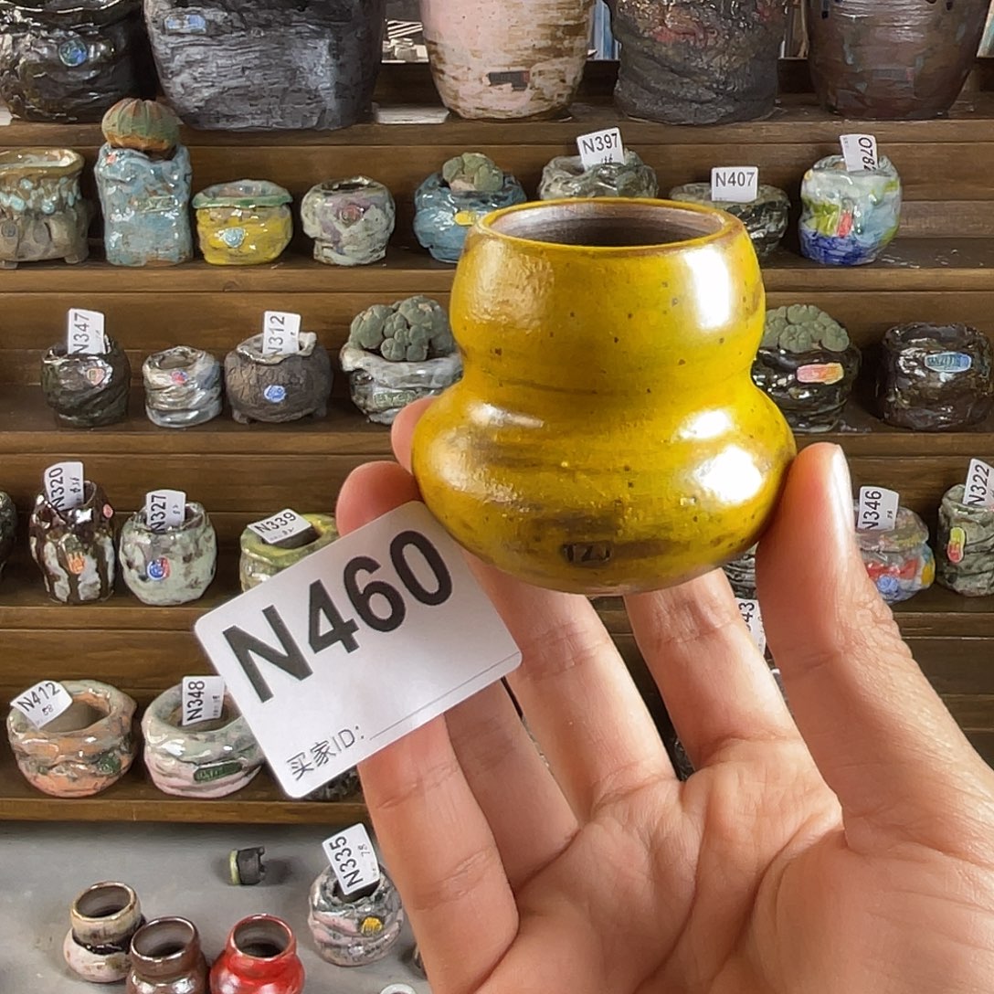 坛子姐花盆 拇指盆 内口3.2左右 百搭