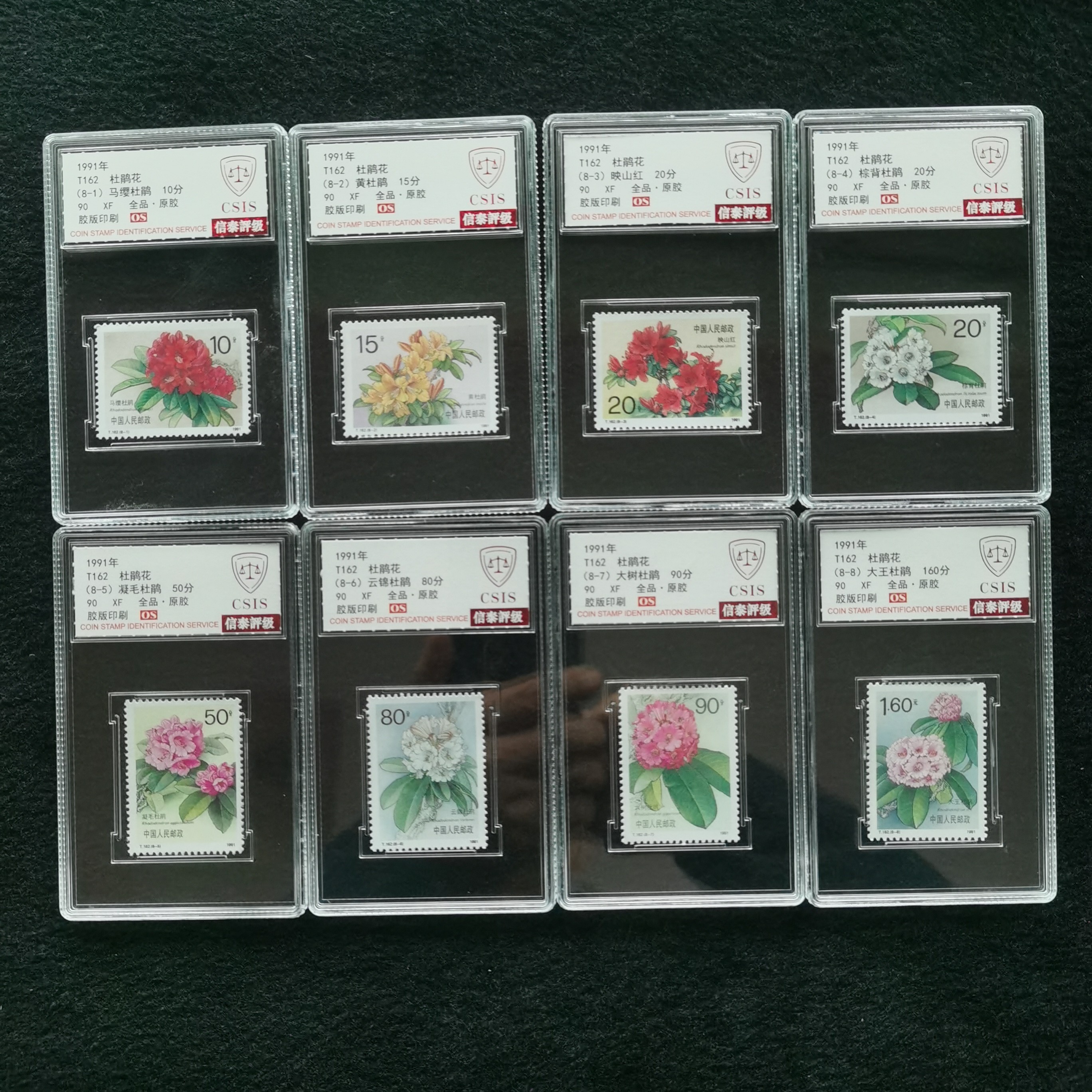 【盒评】T162杜鹃花邮票 信泰评级90分OS