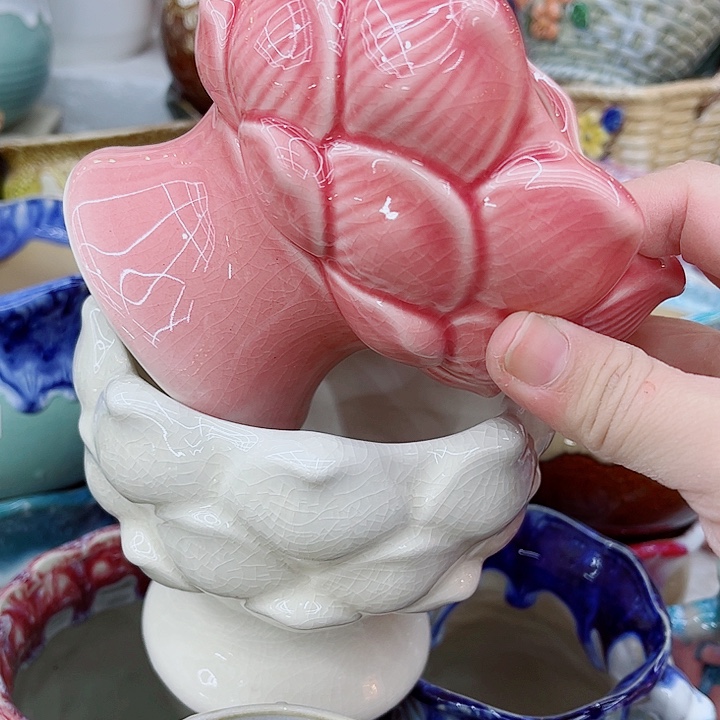 多肉植物陶瓷花盆