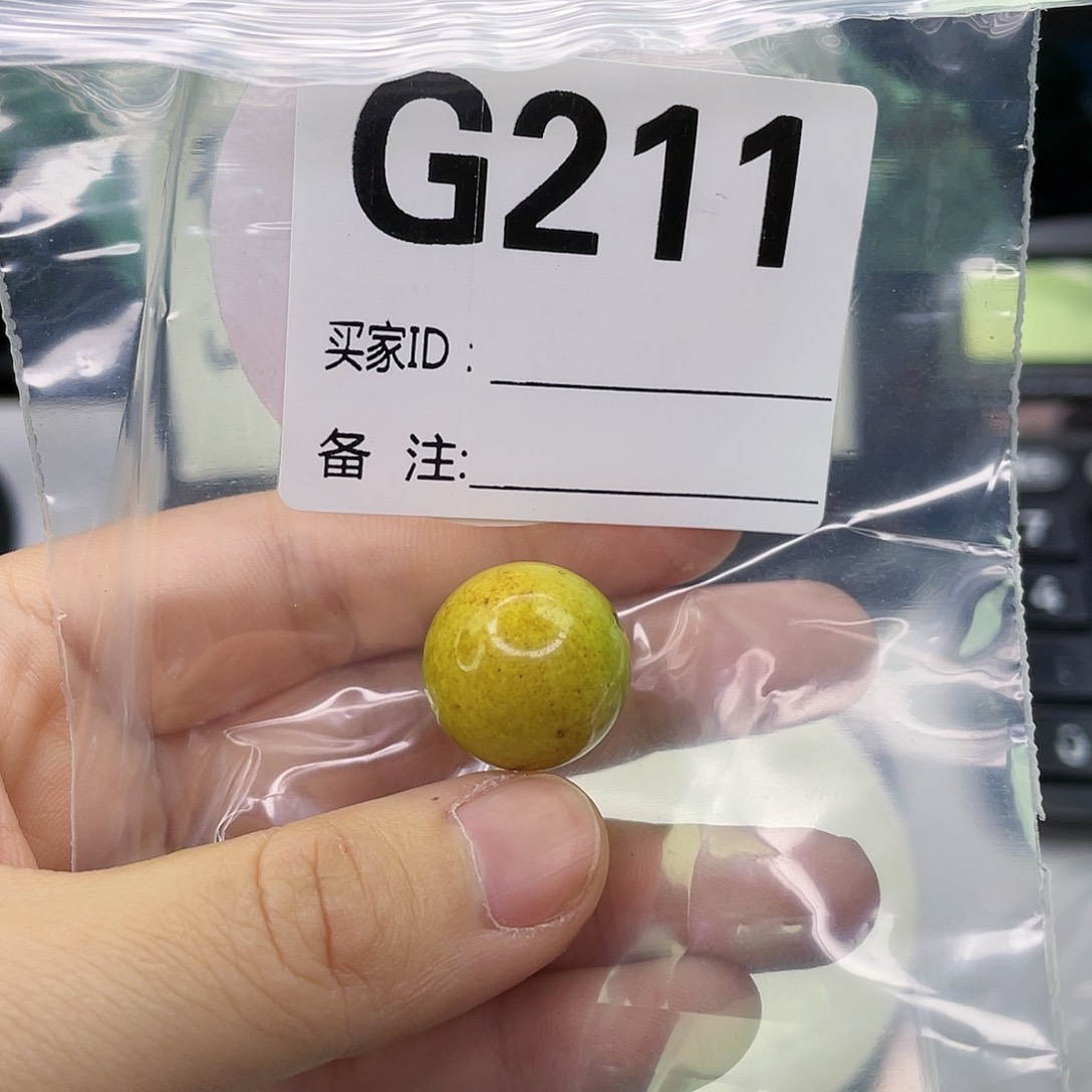 空竹粉丝专享福利筱筱