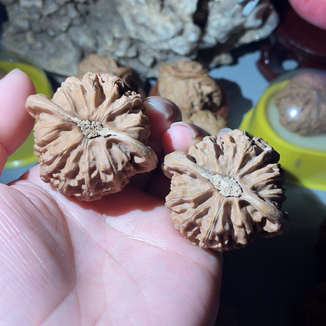 核桃手串/手链精品宫灯45加