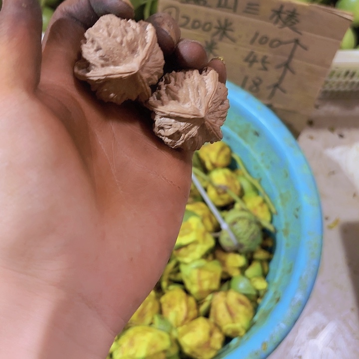 文玩核桃吊坠蜡**新盘山