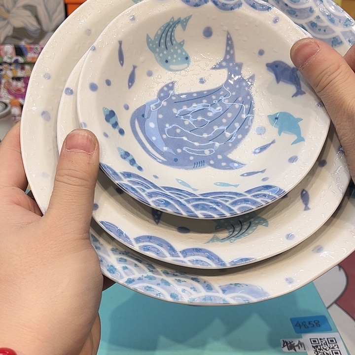 瓷片@@4858happyday