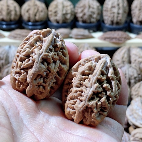 文玩核桃把件老树珊瑚纹