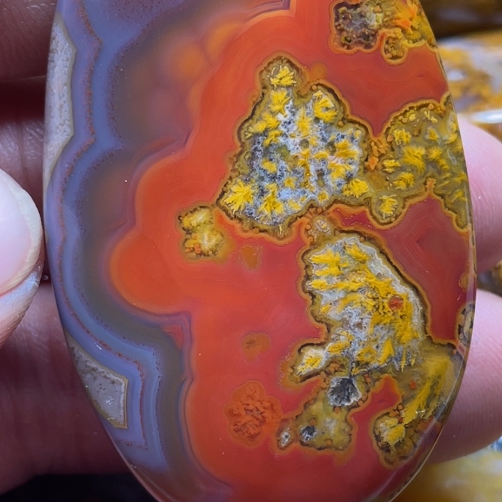 用***飞玛瑙/玉髓颈饰未镶嵌