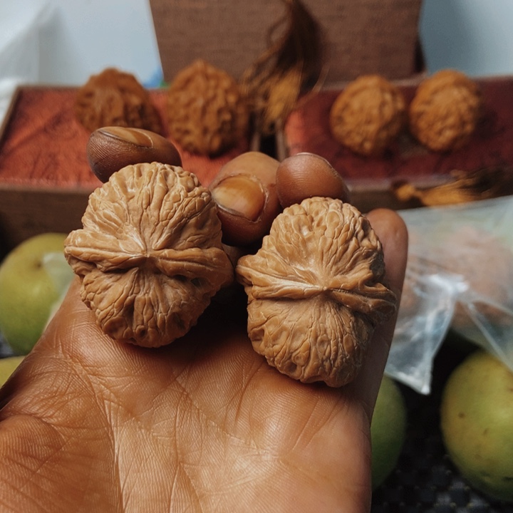 元宝新果37.34.32