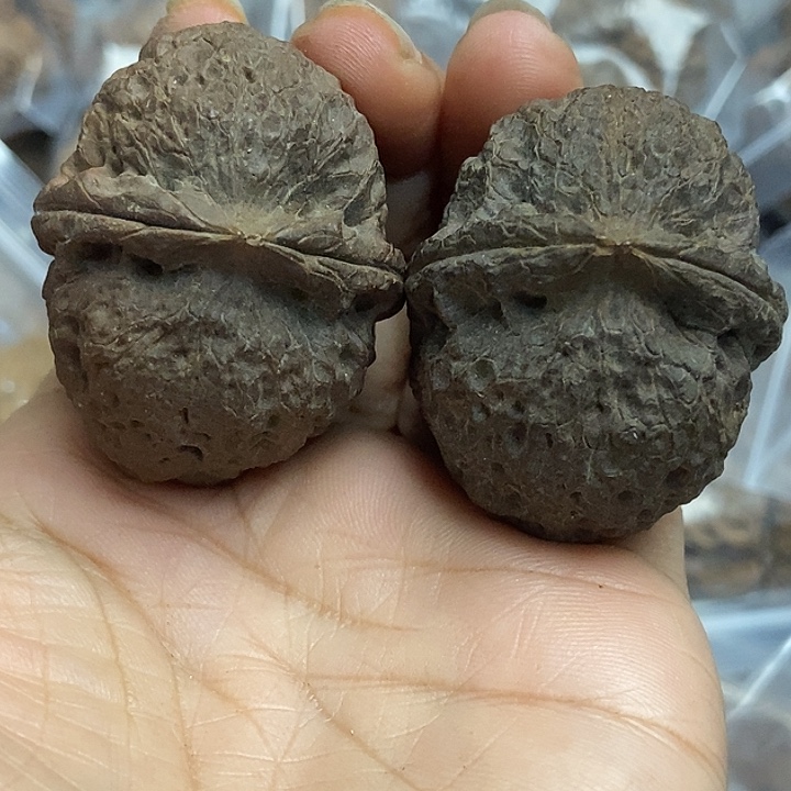 文玩核桃把件云南铁核桃基地48