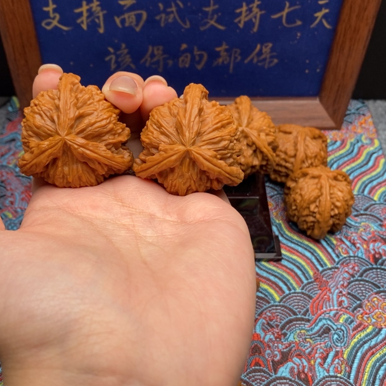 【闪购商品】J**G白狮