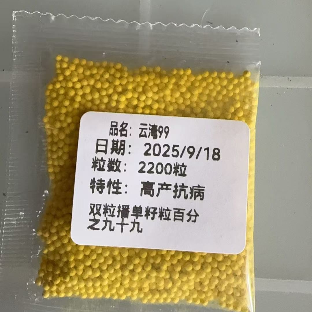 饵料云淹992200粒合适云贵川湖陕北