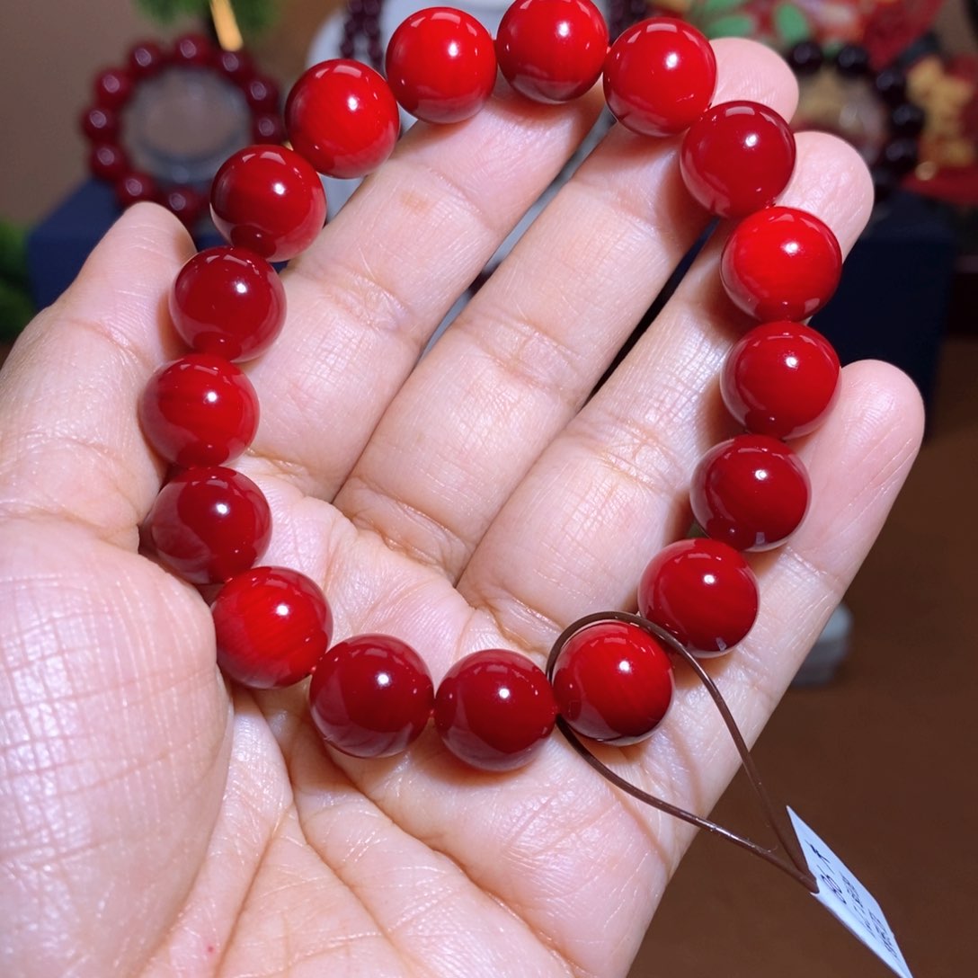 贝壳杉帝王血龙木1.2