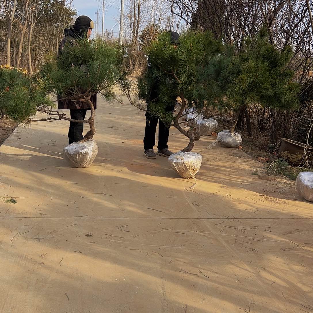 馬**功888888888888888