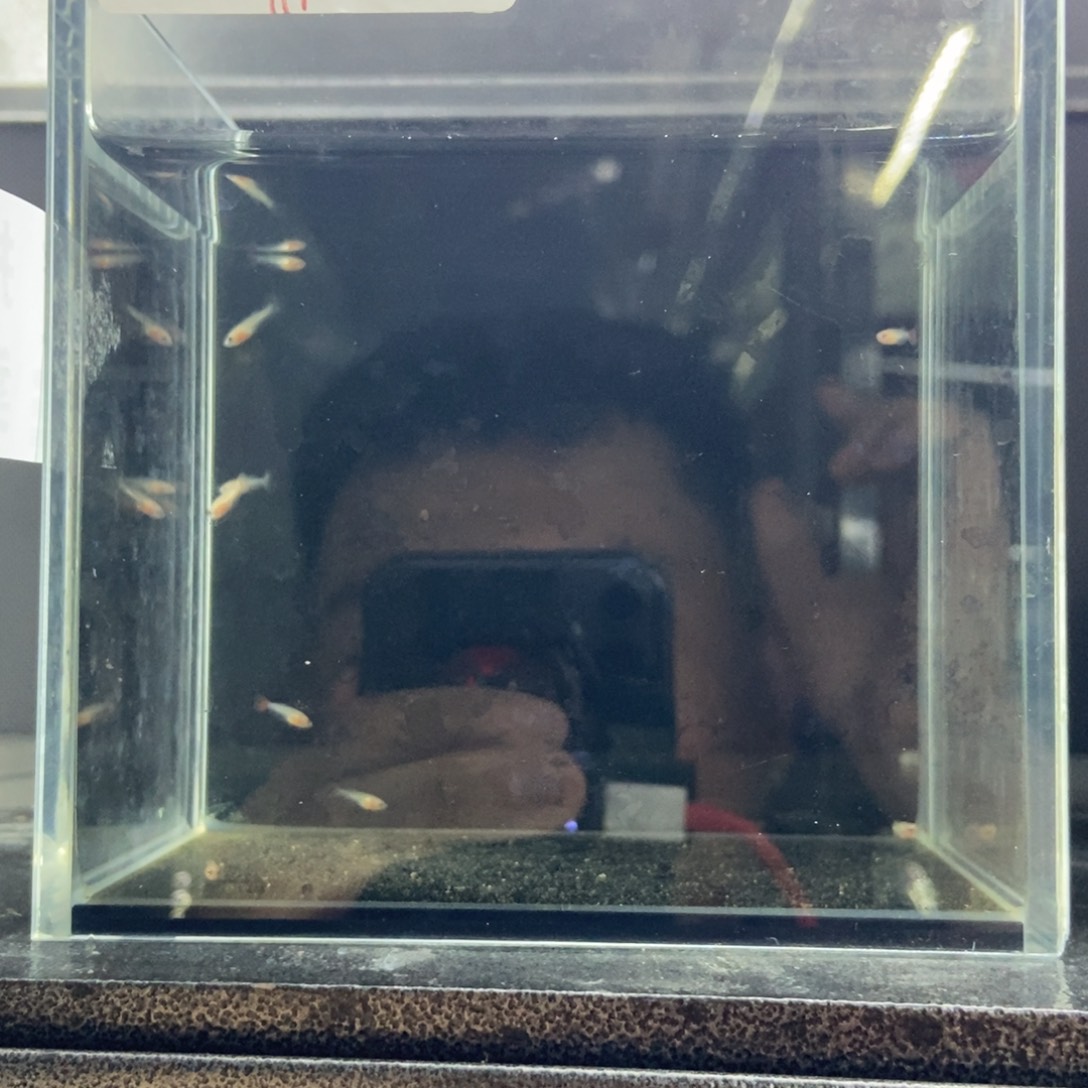 斗鱼包活不包损所见即所得084