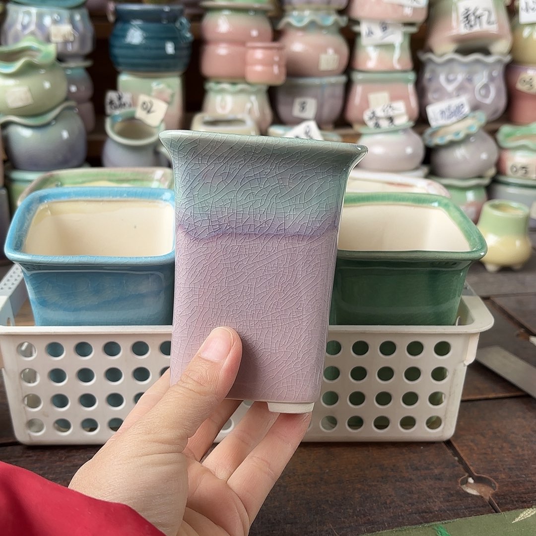 量货/口7高11深浅搭配发4