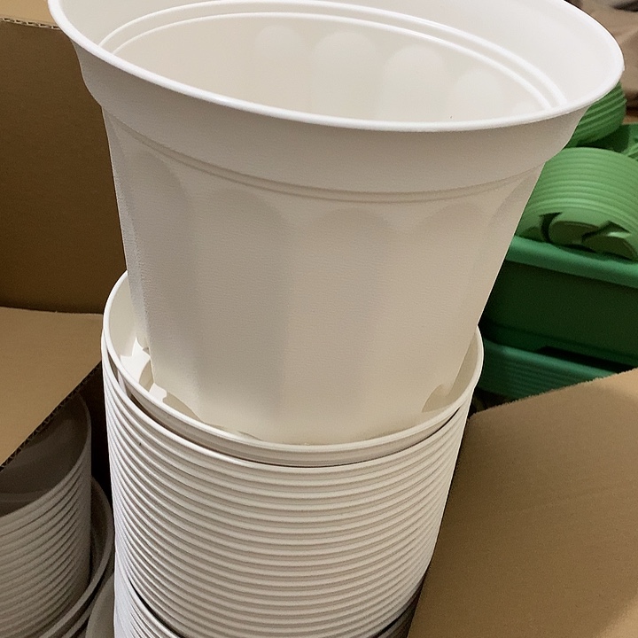 小果汀21口高15白5个带托