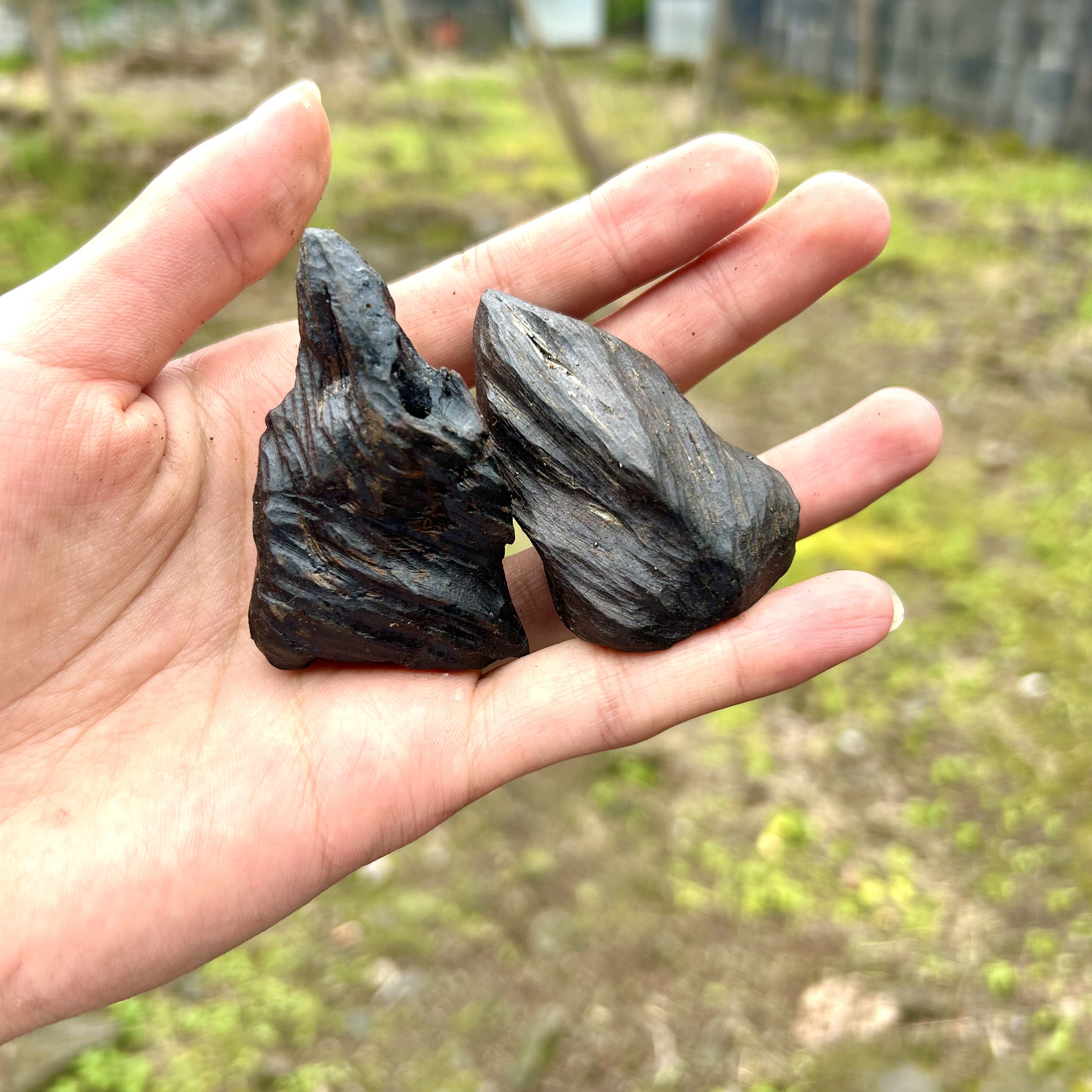 小宇专属农家 非香菇  沉 临时链接大