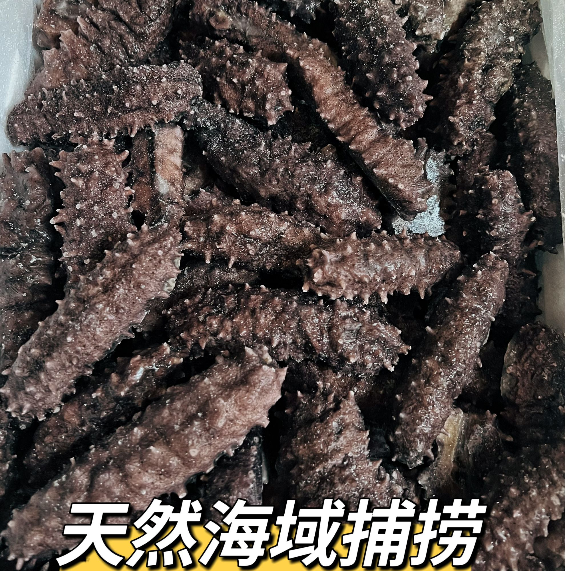 海参即食 8-10头/斤 天然海域捕捞刺参 微瑕海参