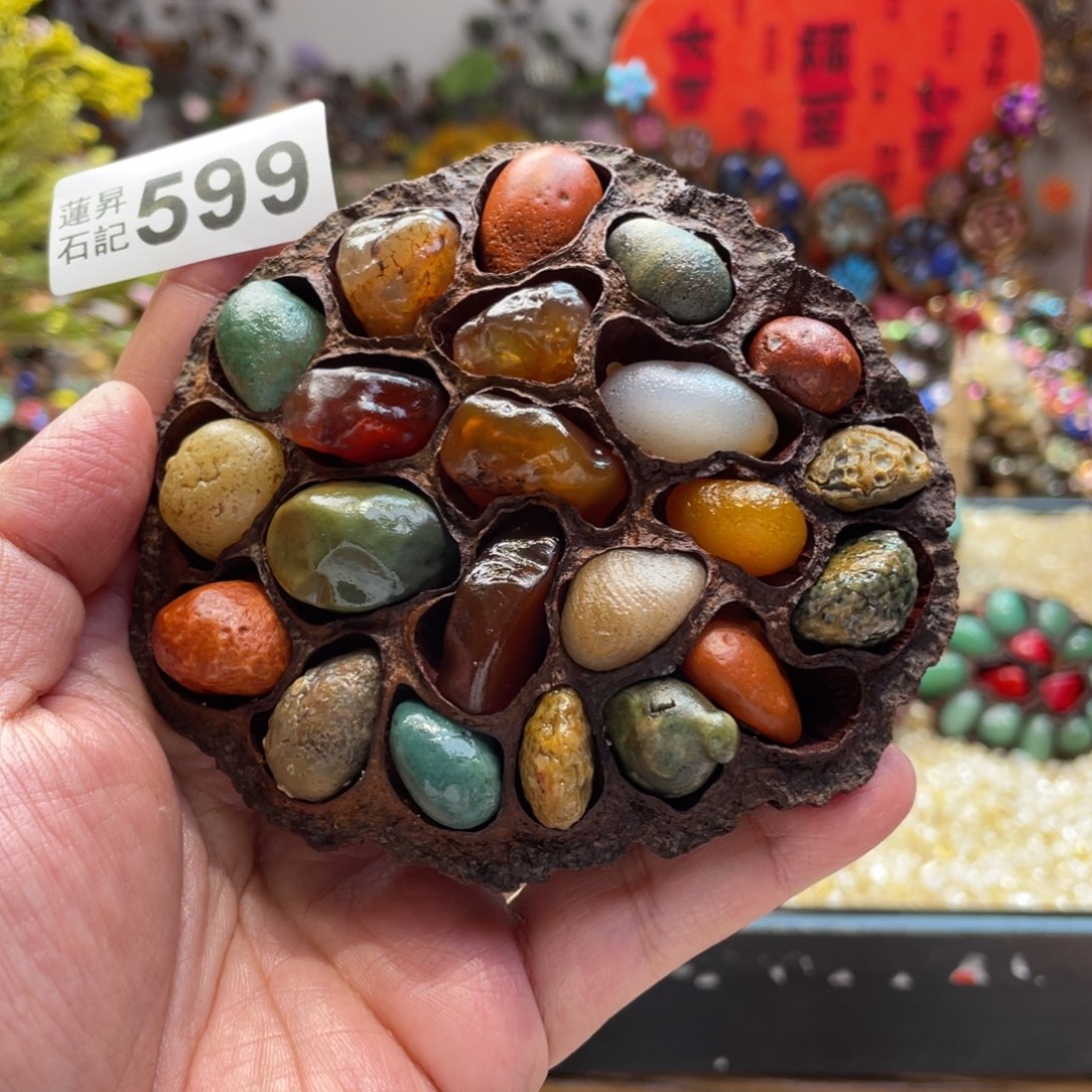 核桃木/黑胡桃（胡桃木）599卡10左右