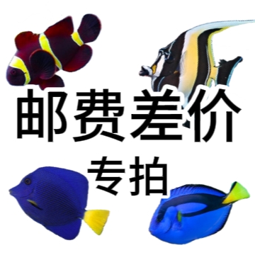 【前海水族】邮费差价专拍1111鱼粮高够力