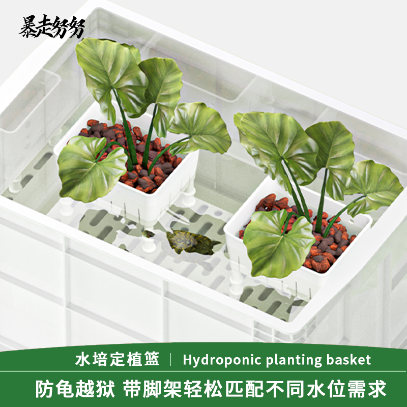 鱼缸水培植物固定架定植篮壁挂式水草杯水上挺篮鱼缸造景装饰配件