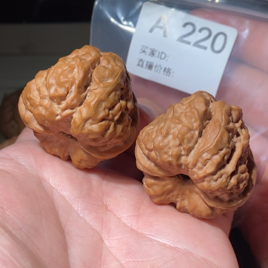 文玩核桃把件40四开背