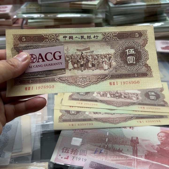 篮*黄五元一张————————————