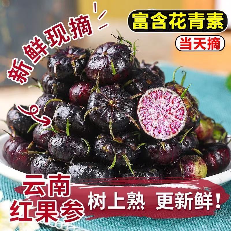 云南新鲜采摘红果参蜘蛛果稀有高原水果酸甜多汁