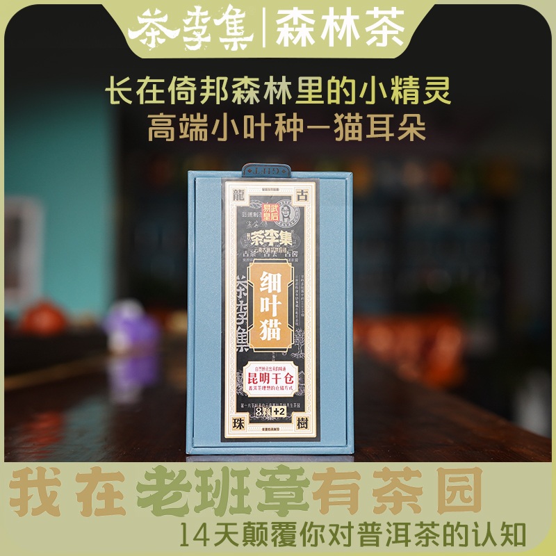 【福利品鉴 拍5份发6份】2023年倚邦细叶猫古树龙珠生茶10颗70g盒装