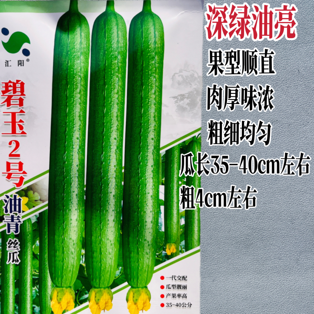 碧玉2号油青丝瓜中早熟果长深绿油亮果型顺直粗细均匀肉厚味浓