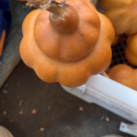 葫芦葫芦葫芦葫芦