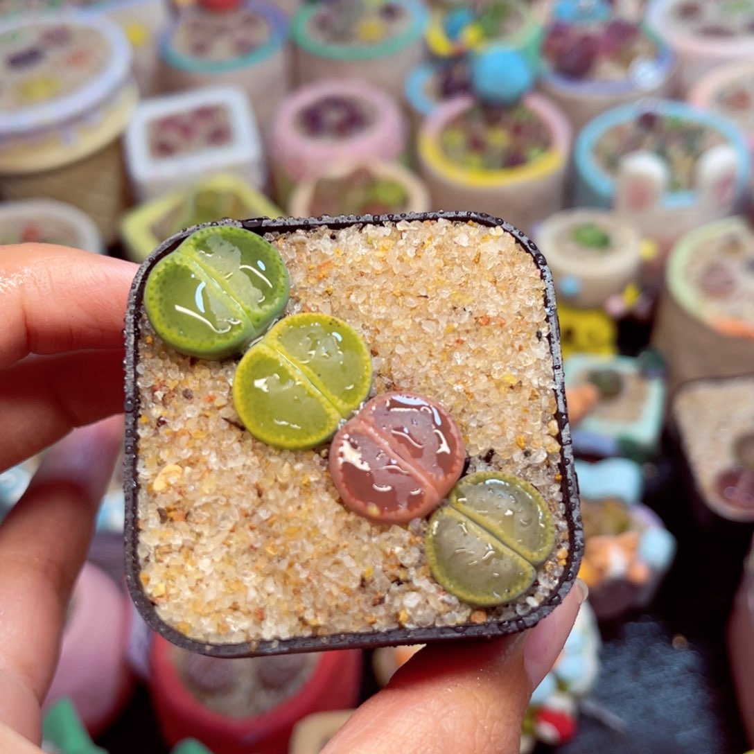 763. 6788568846866877