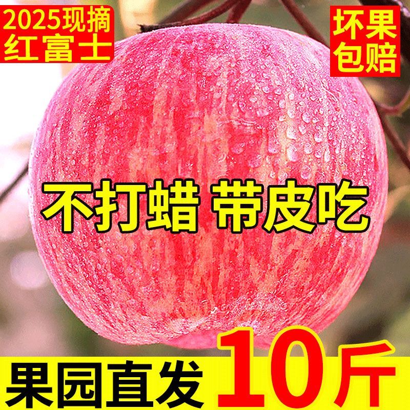 河南灵宝寺河山苹果新鲜苹果10斤脆甜现摘红富士新鲜水果产地直发