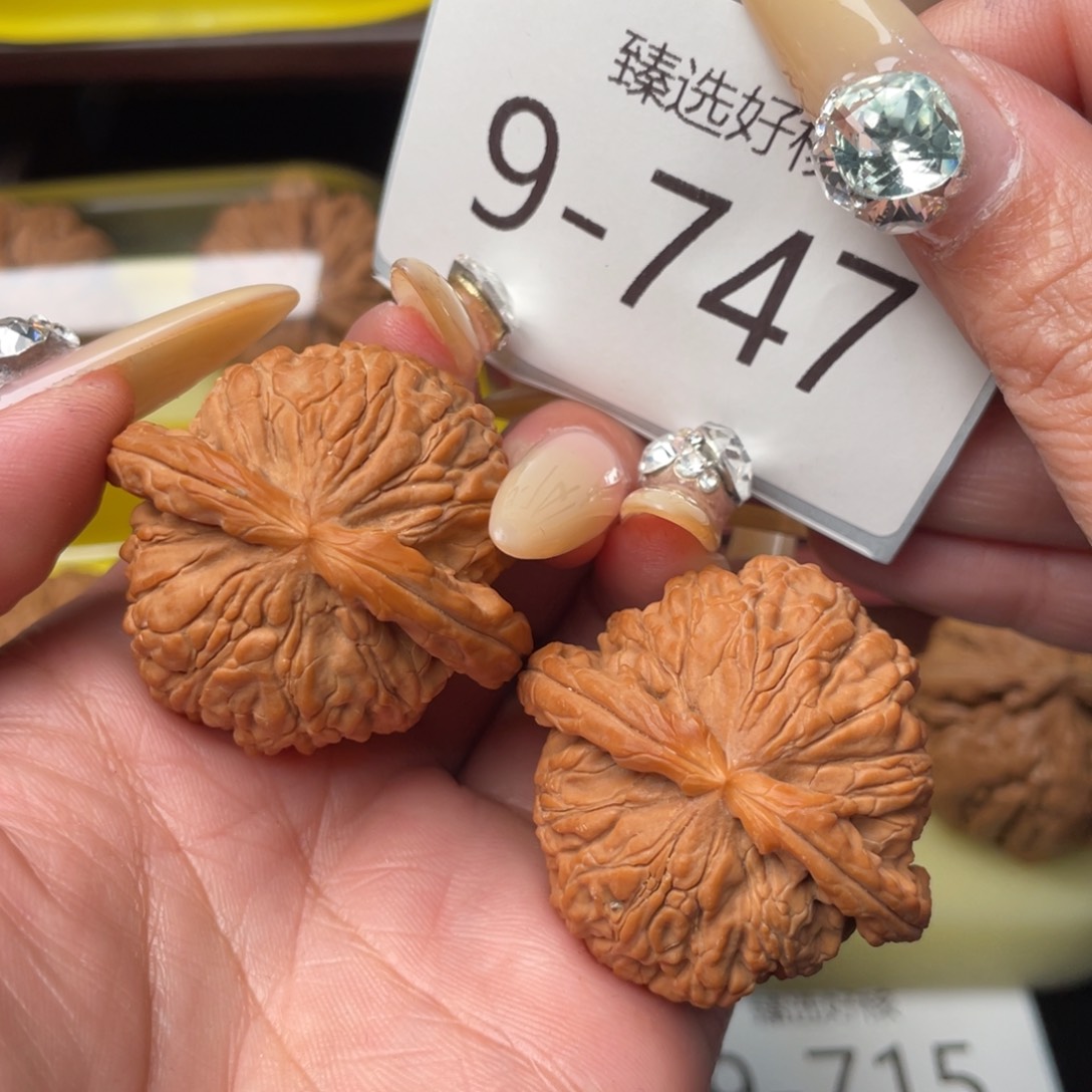 文玩核桃把件40红皮白狮子