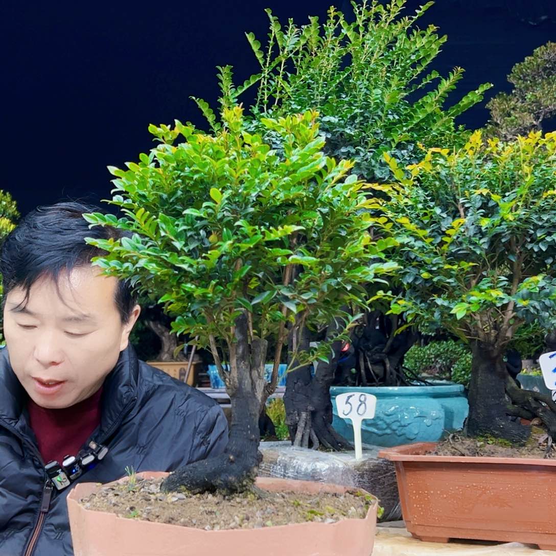 以实际为准勉****备12345678