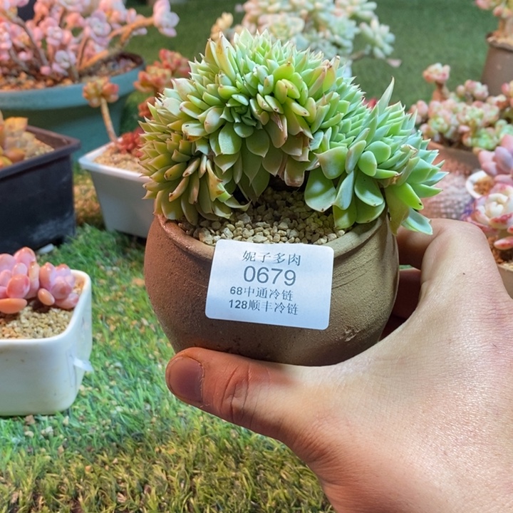 0679啊啊啊啊啊啊啊啊啊啊啊啊