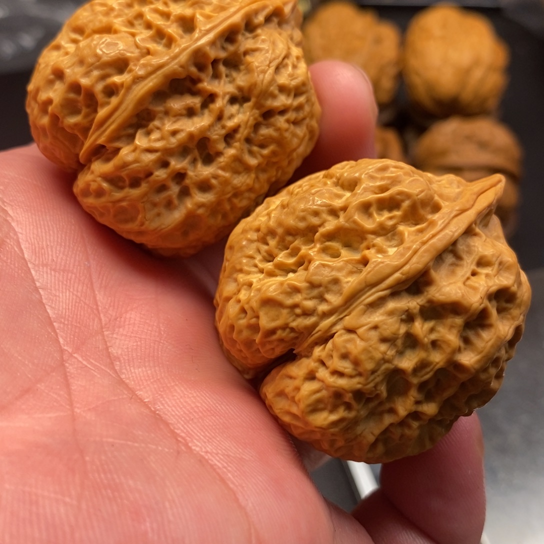 把件文玩核桃骨蝉蛤蟆头
