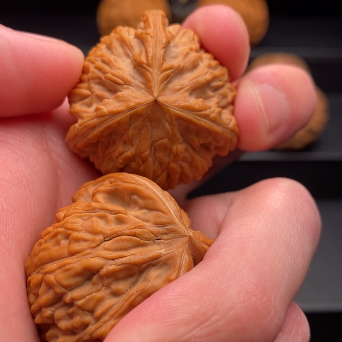 文玩核桃把件段*御龙