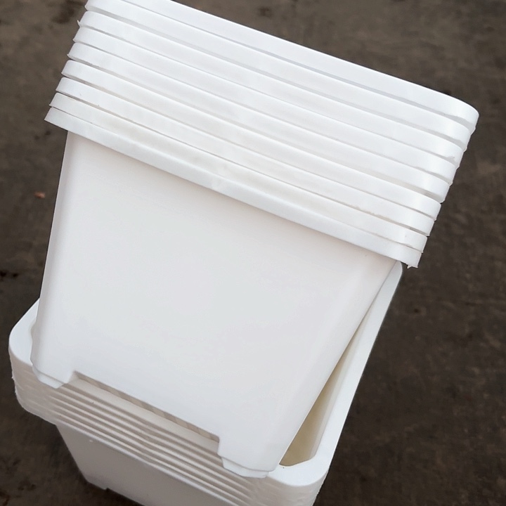 160白方盆15公分高11公分20个