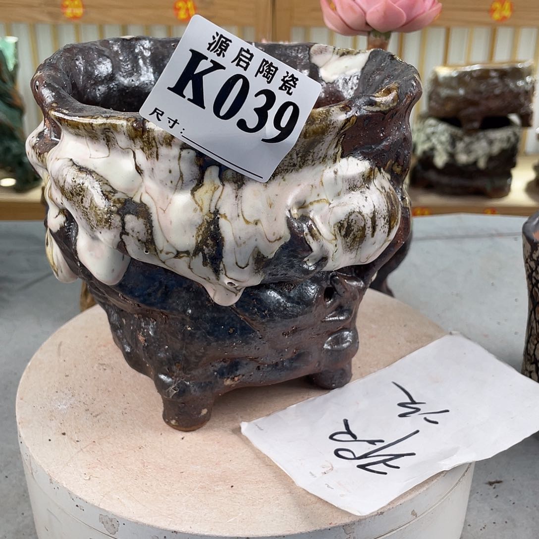 紫砂花盆景德镇陶瓷多肉039