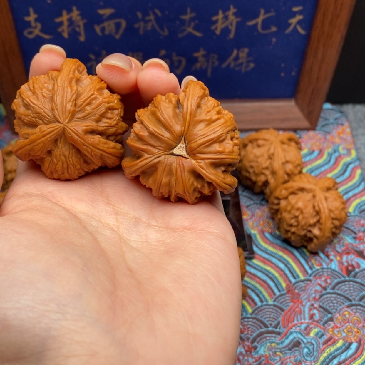 【闪购商品】Y白狮