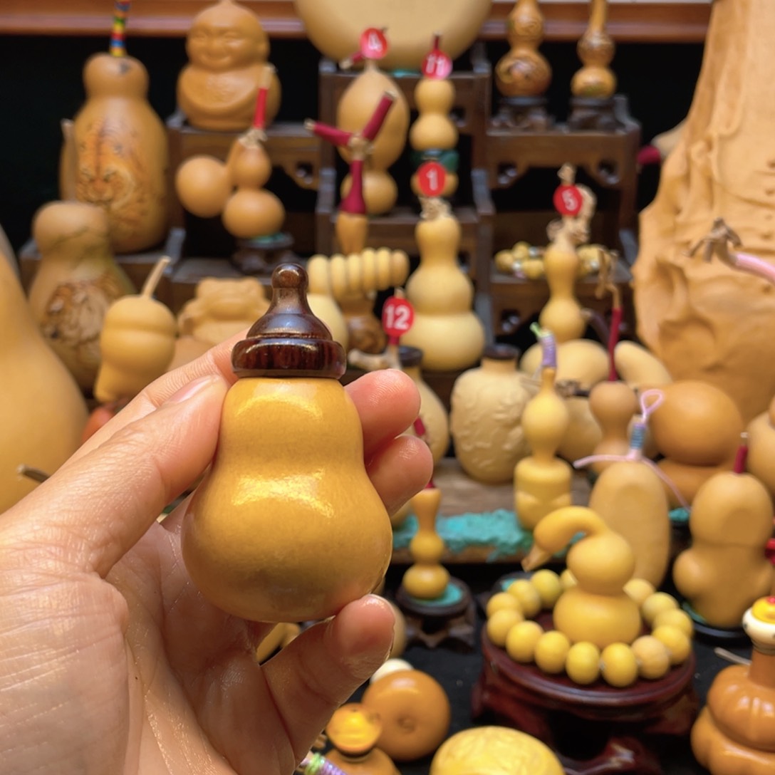 ?***酷大自然的秘密第十一节的