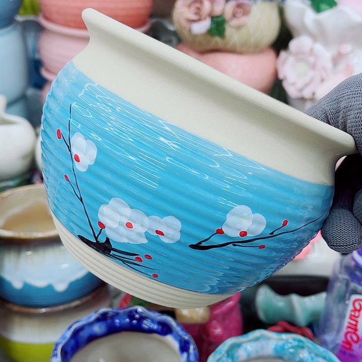 多肉植物陶瓷花盆