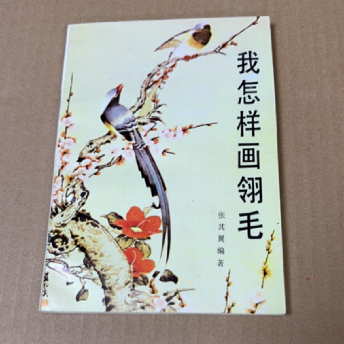 9新  我怎样画翎毛   